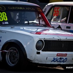 dzintara volga-4672